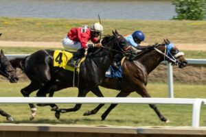 Horse Racing