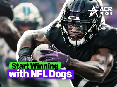 Rookie Bettor’s Guide to NFL Underdogs