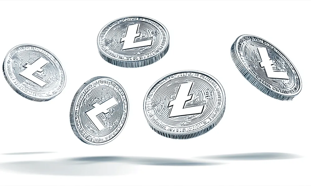 Choosing Litecoin During a Fee Spike