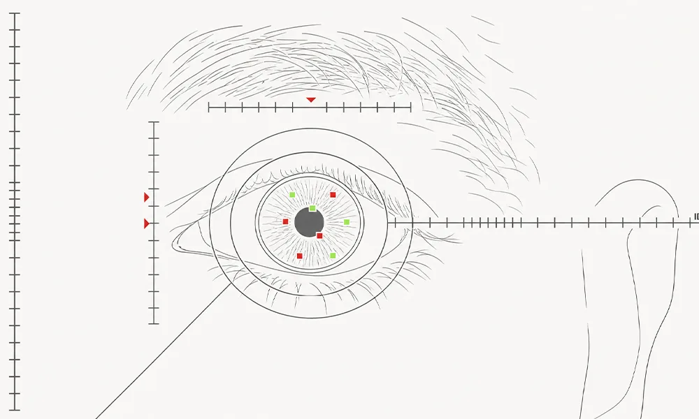 How Biometric Verification Actually Works
